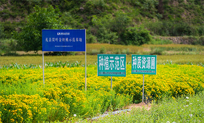 欧博ABG·[中国]官方网站