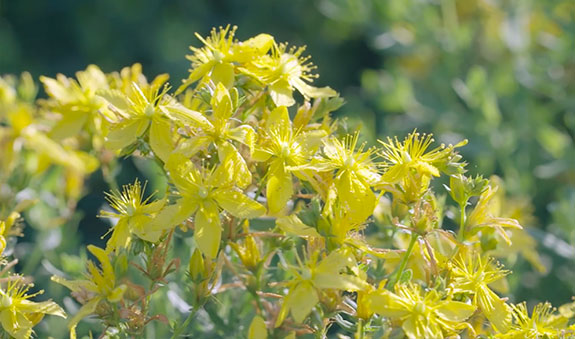 欧博ABG·[中国]官方网站