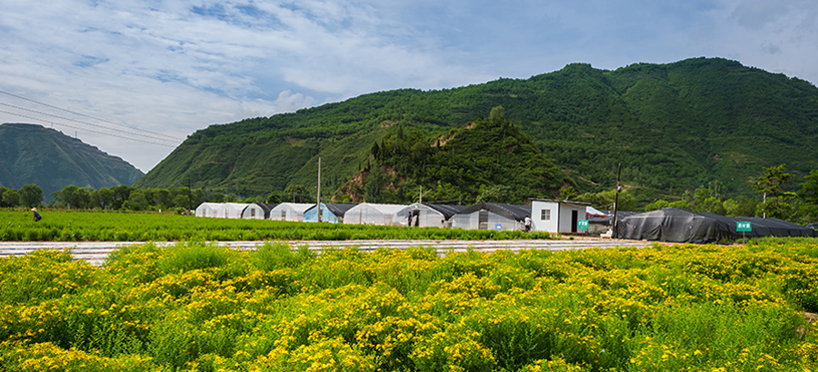 欧博ABG·[中国]官方网站